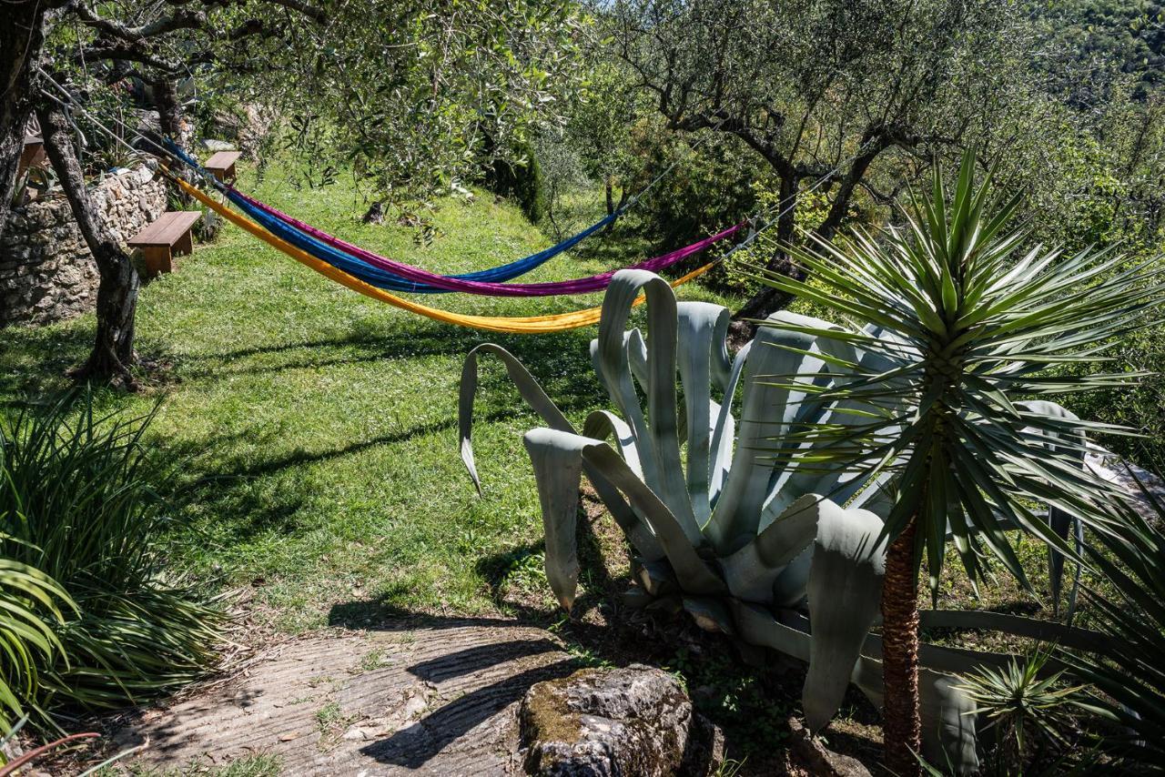 La Fattoria Di Nonna Eugenia Bed and Breakfast Lerici Exteriör bild