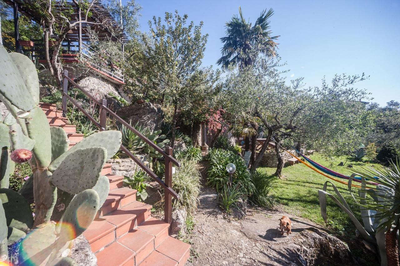 La Fattoria Di Nonna Eugenia Bed and Breakfast Lerici Exteriör bild