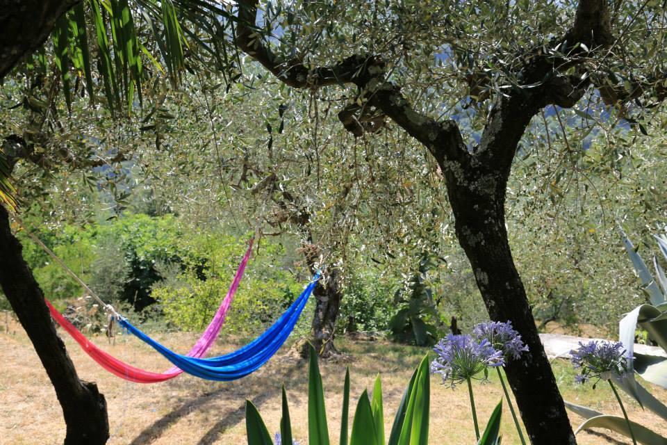 La Fattoria Di Nonna Eugenia Bed and Breakfast Lerici Exteriör bild