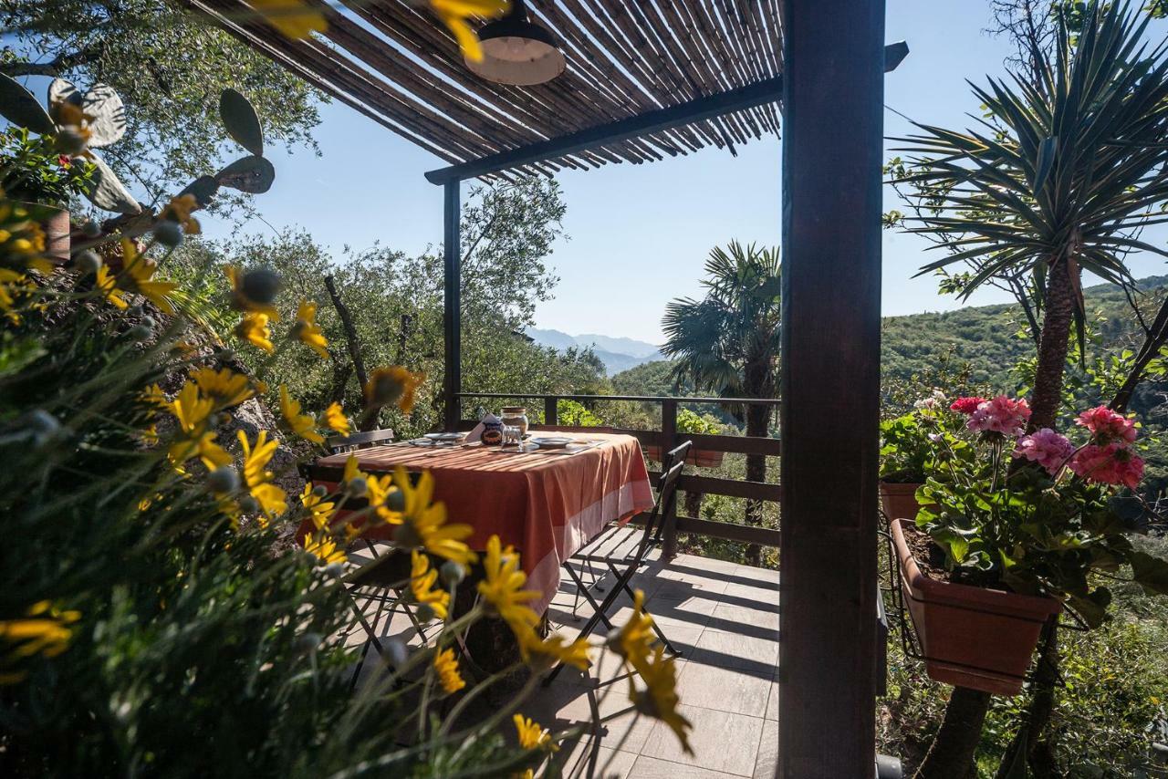 La Fattoria Di Nonna Eugenia Bed and Breakfast Lerici Exteriör bild